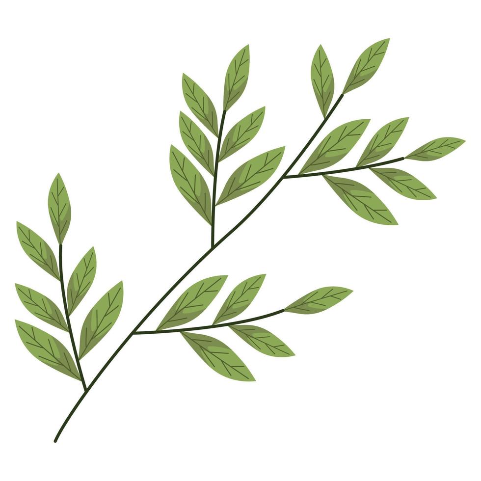 branches with leaves vector