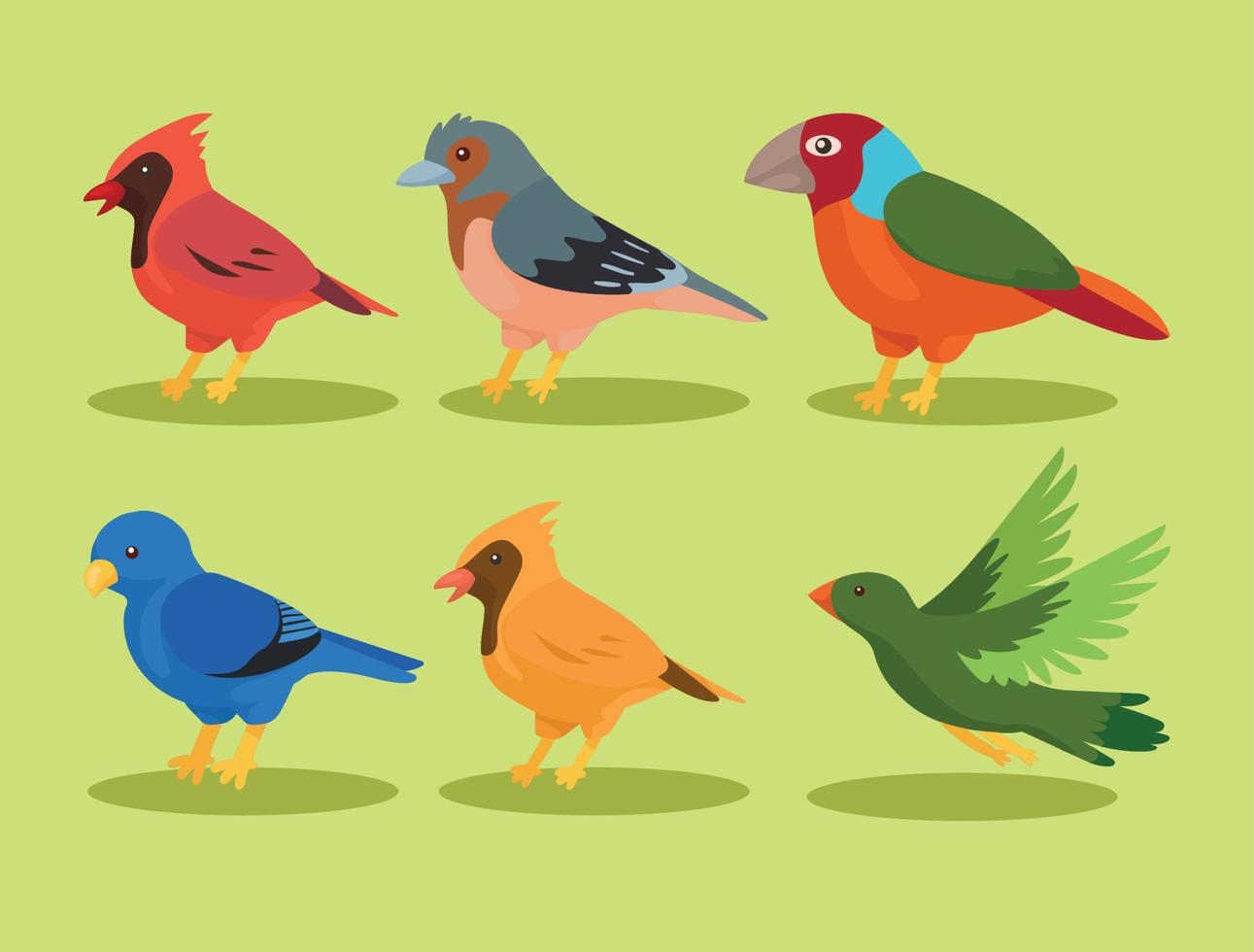 six birds species icons vector