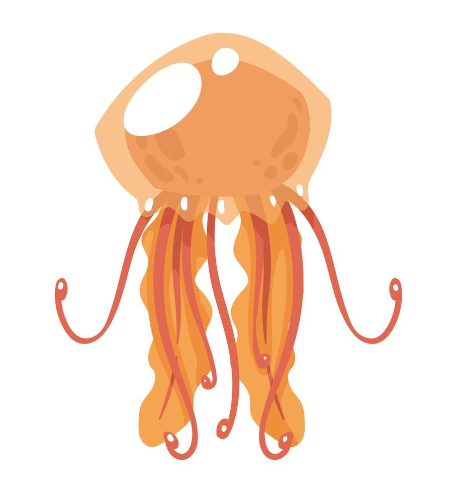 jellyfish sealife animal vector