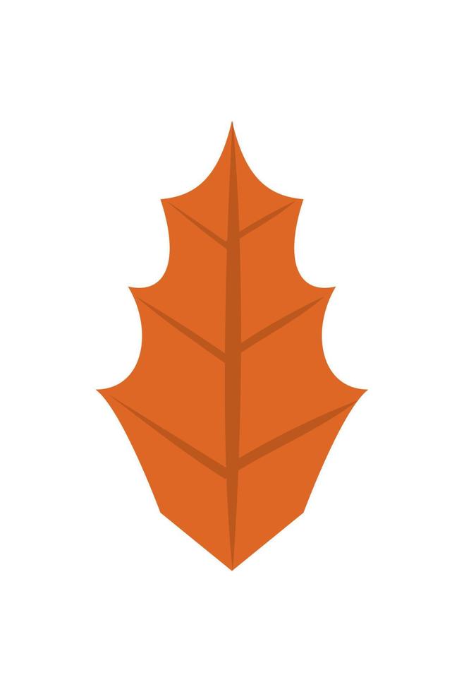 autumn leaf plant vector