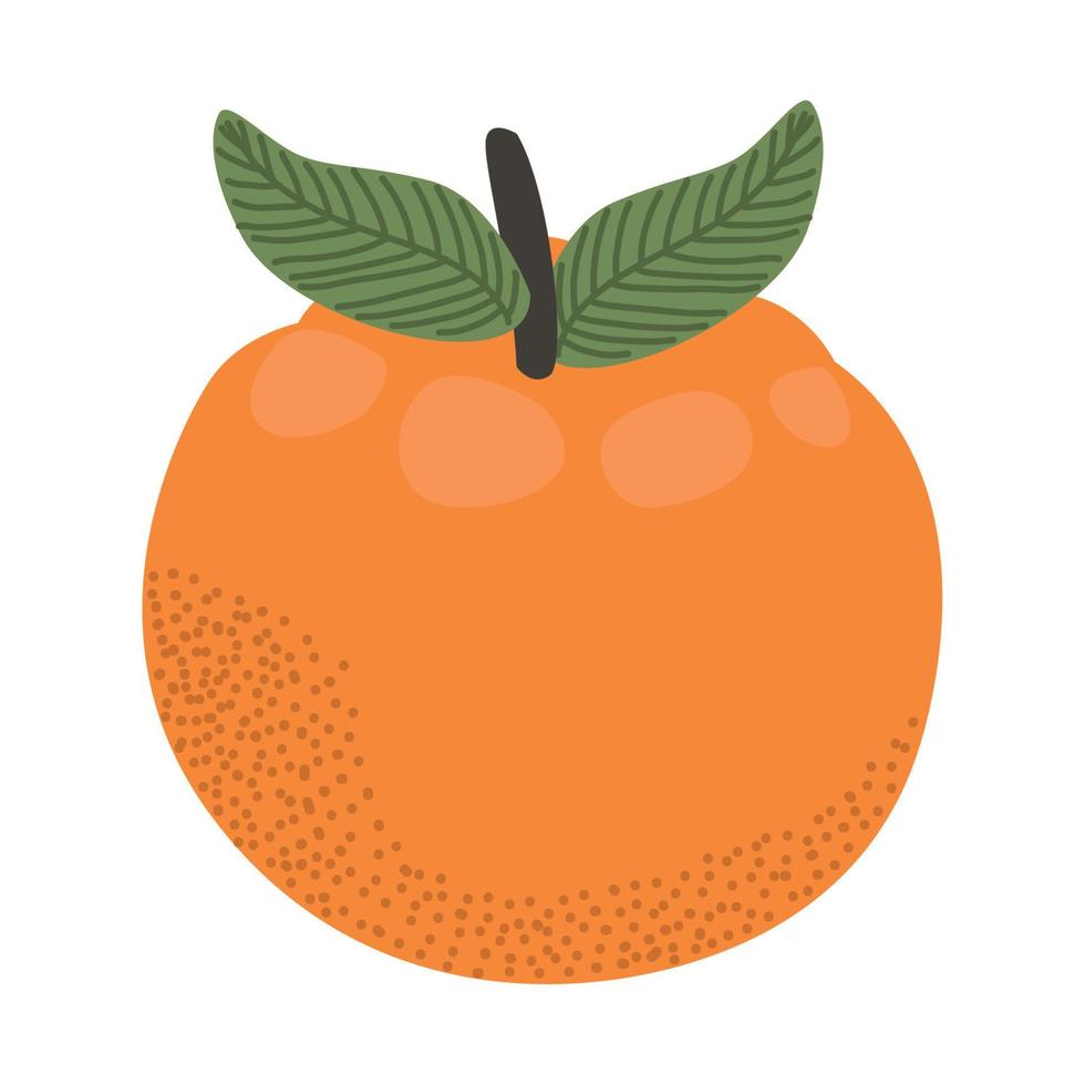orange citrus fruit vector