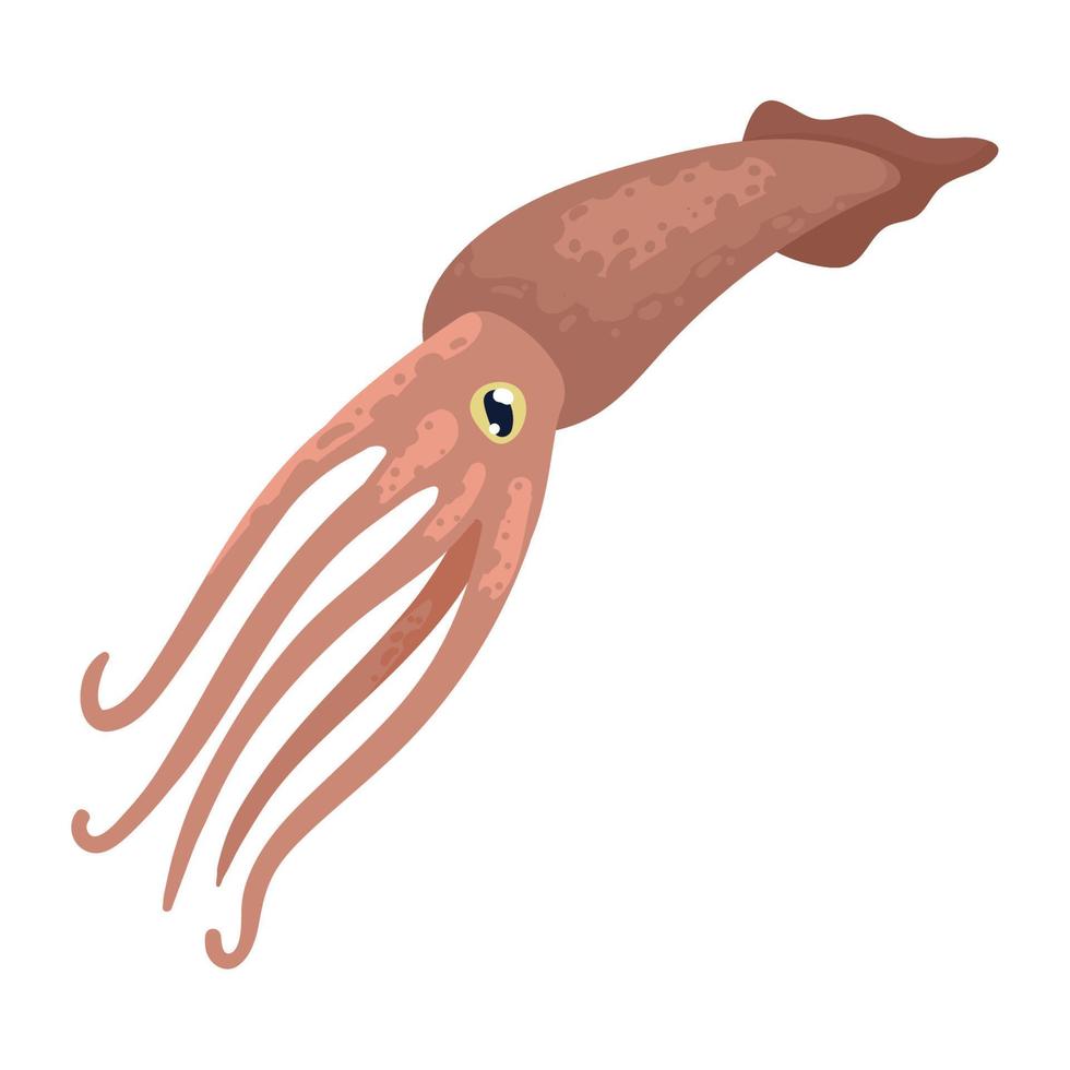 calamar animal vida marina vector