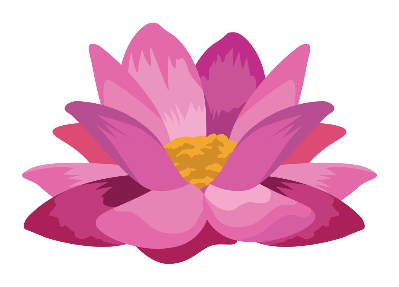 pink lotus flower vector