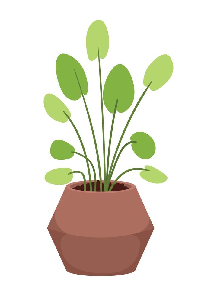 plant in ceramic pot vector