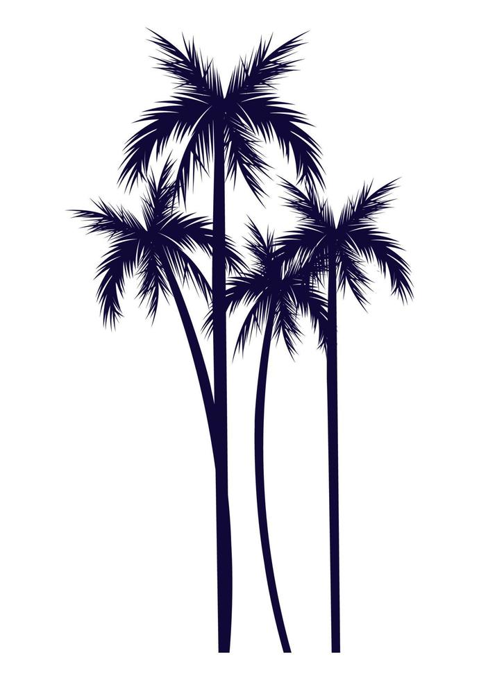trees palms silhouettes vector
