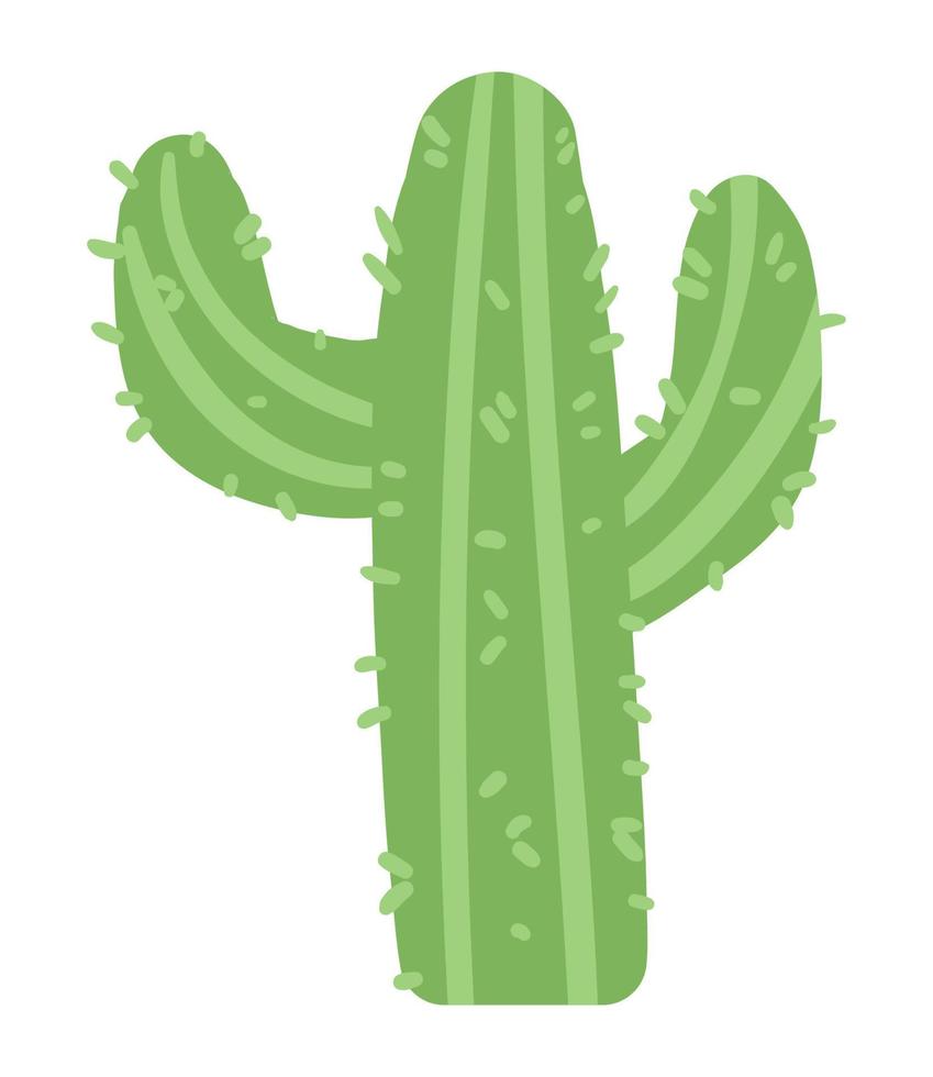 cactu dry plant vector