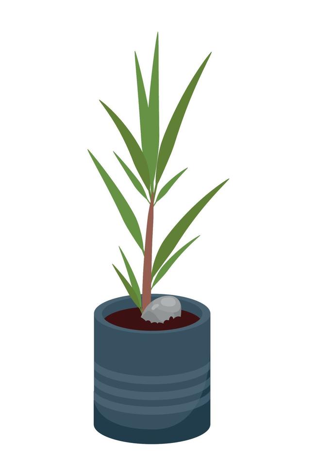 plant in blue pot vector