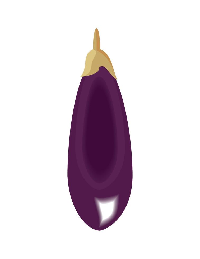 fresh eggplant vegetable vector