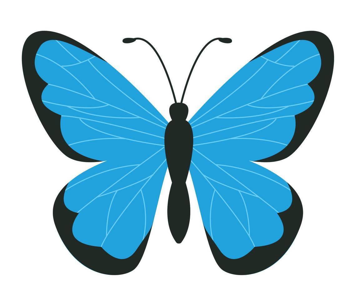 cute blue butterfly vector
