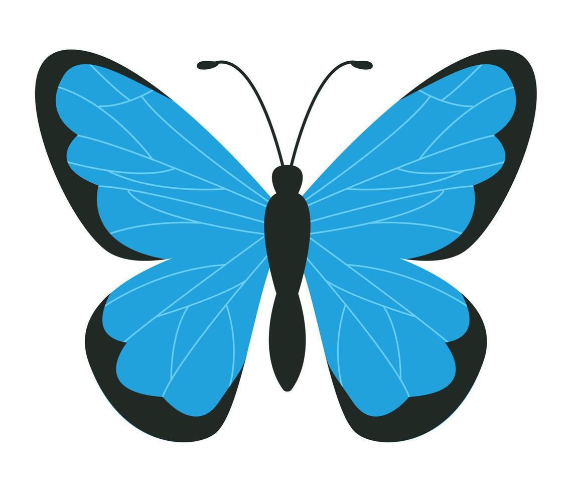 linda mariposa azul vector