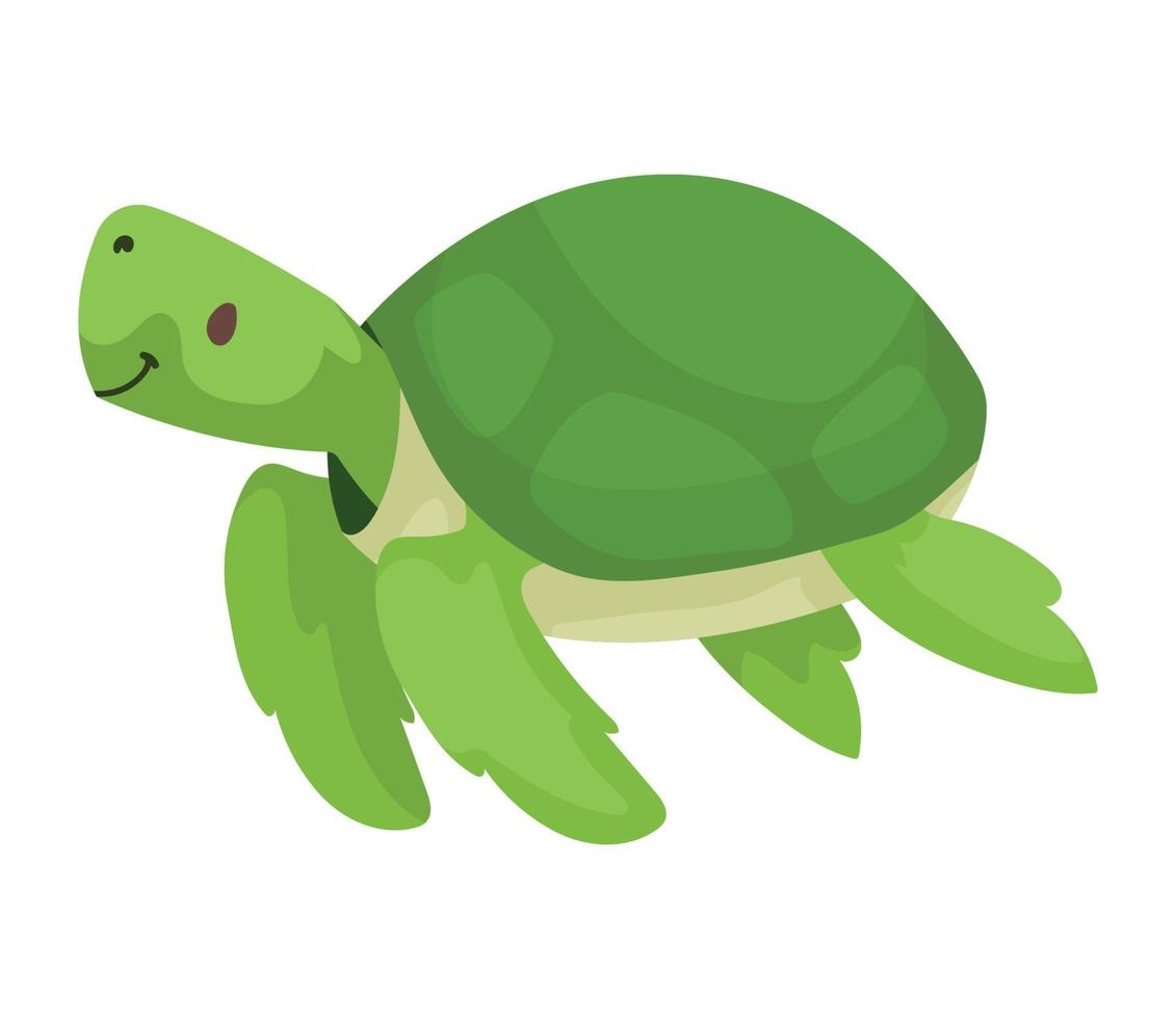 turtle cute animal kid vector