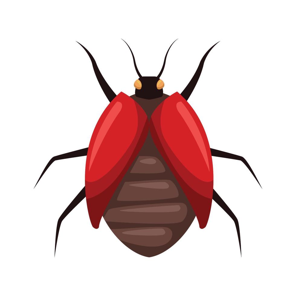 red bug insect vector