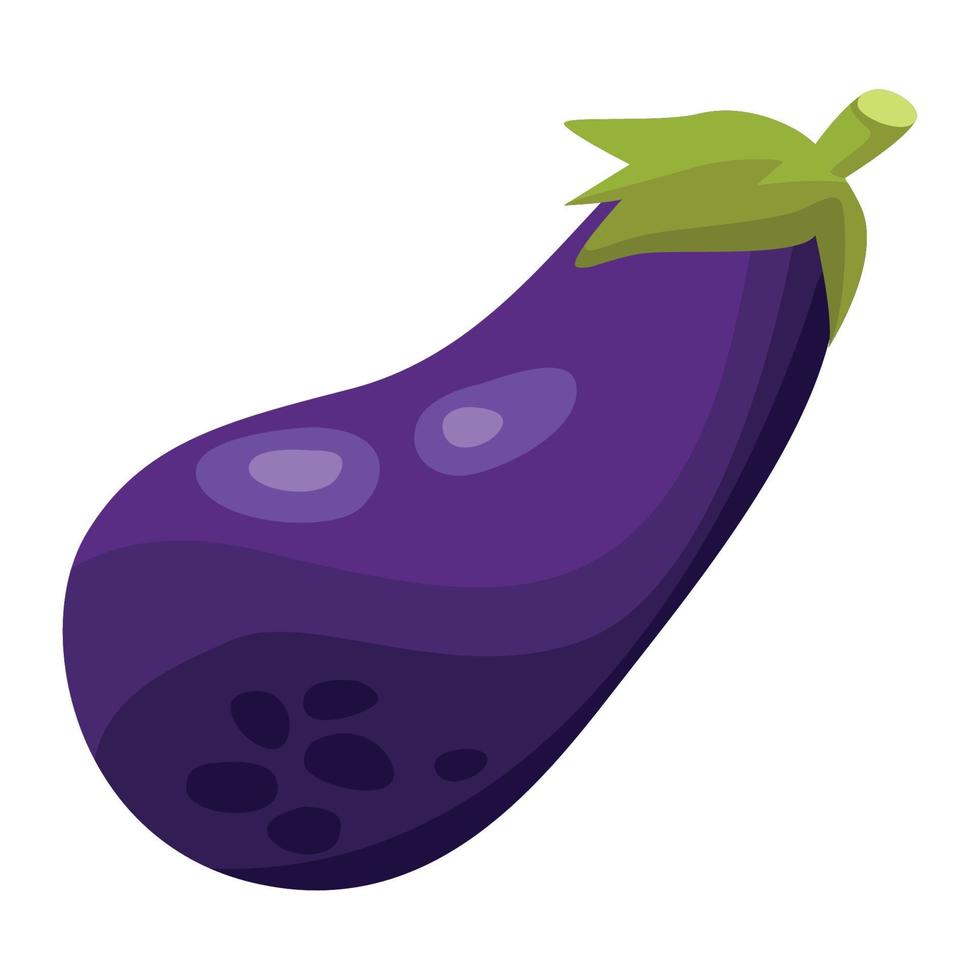 fresh eggplant vegetable vector