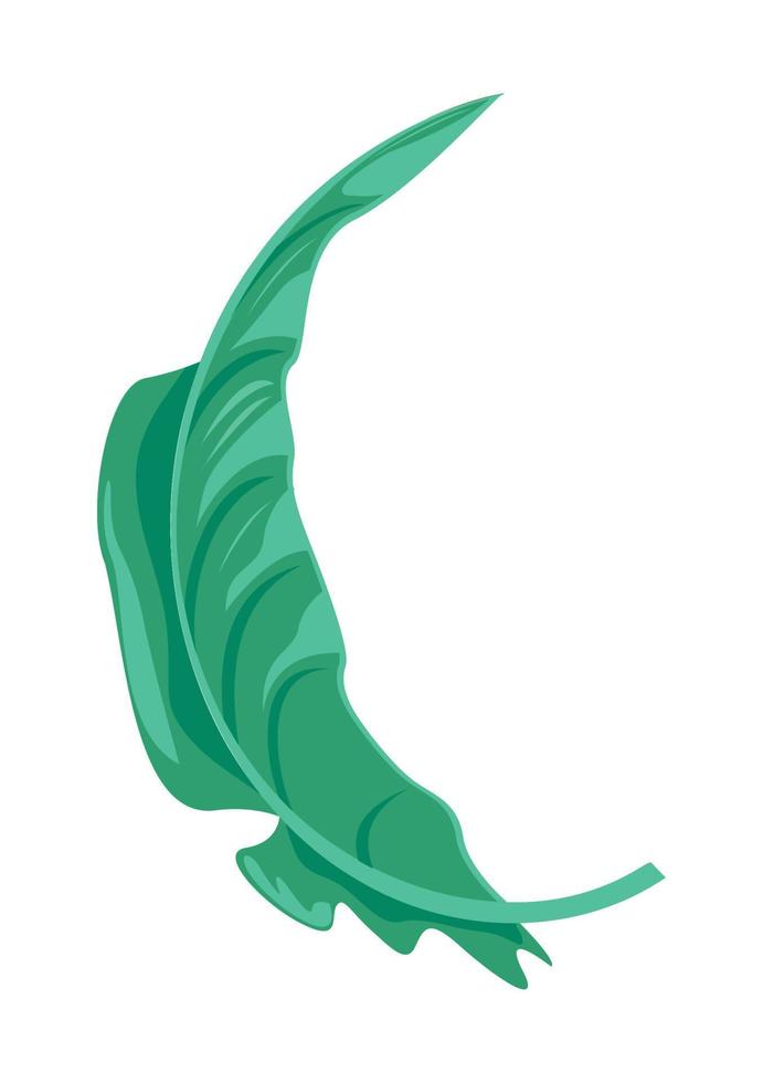 palm leaf exotic vector