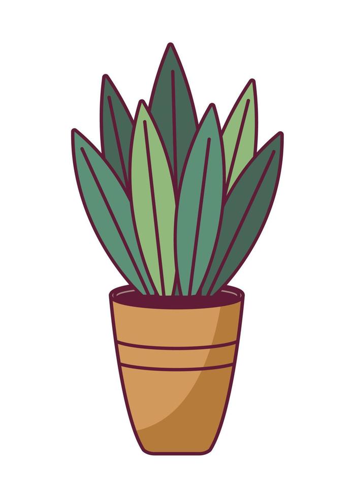 houseplant with leafs vector
