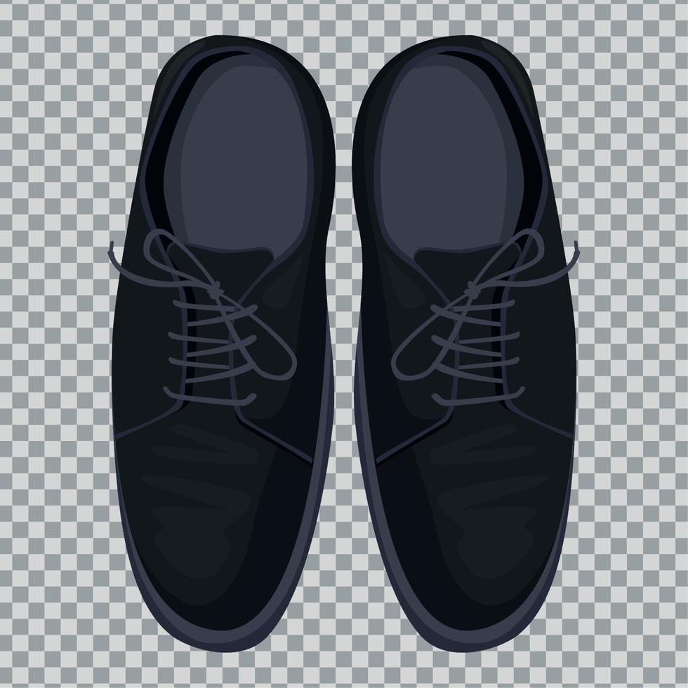 elegant male shoes pair vector