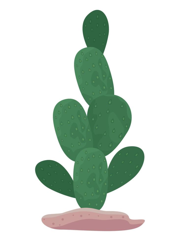 cactus in sand vector