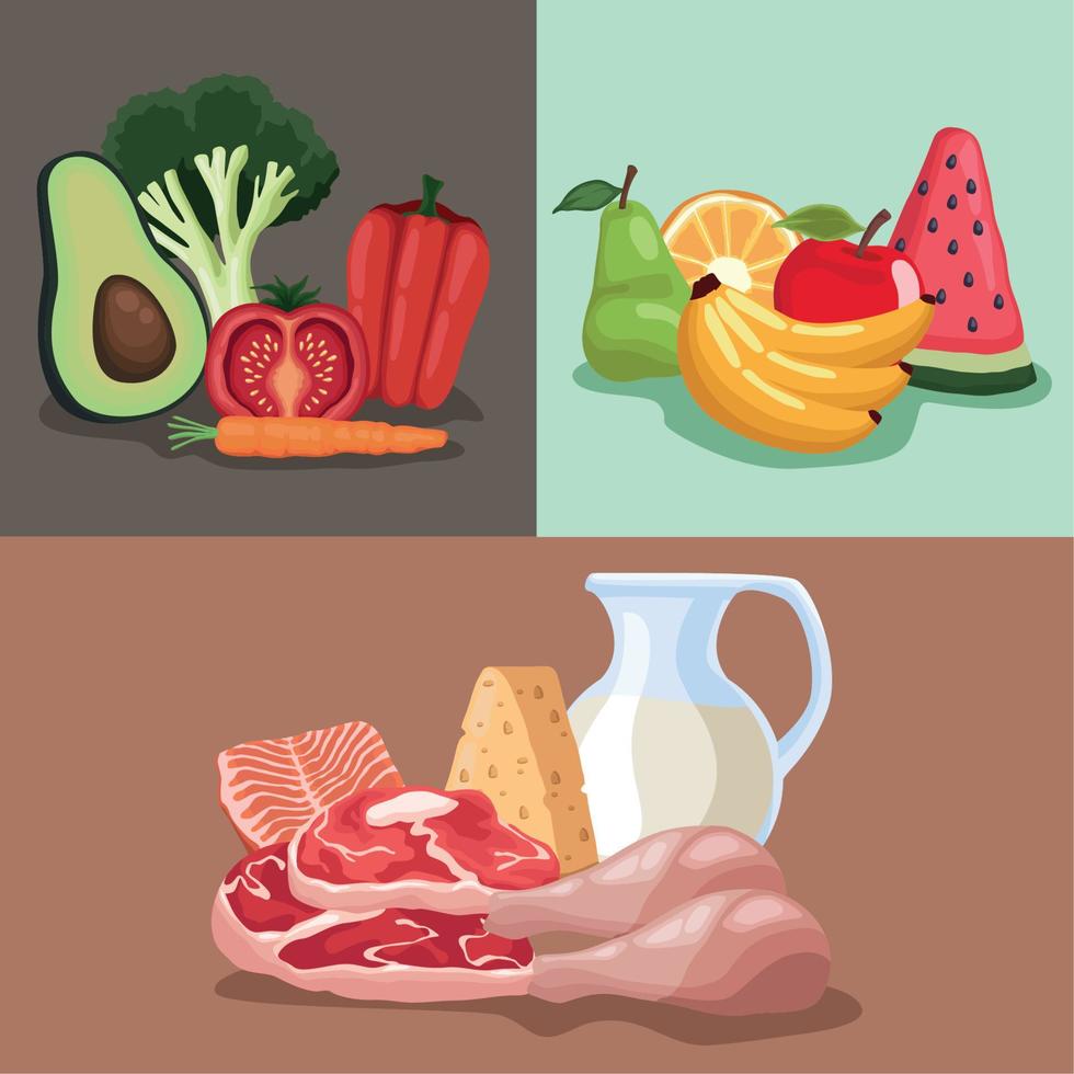 differents healthy food menus vector