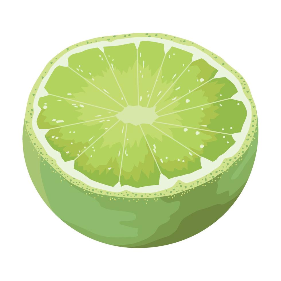 medio limon citrico vector