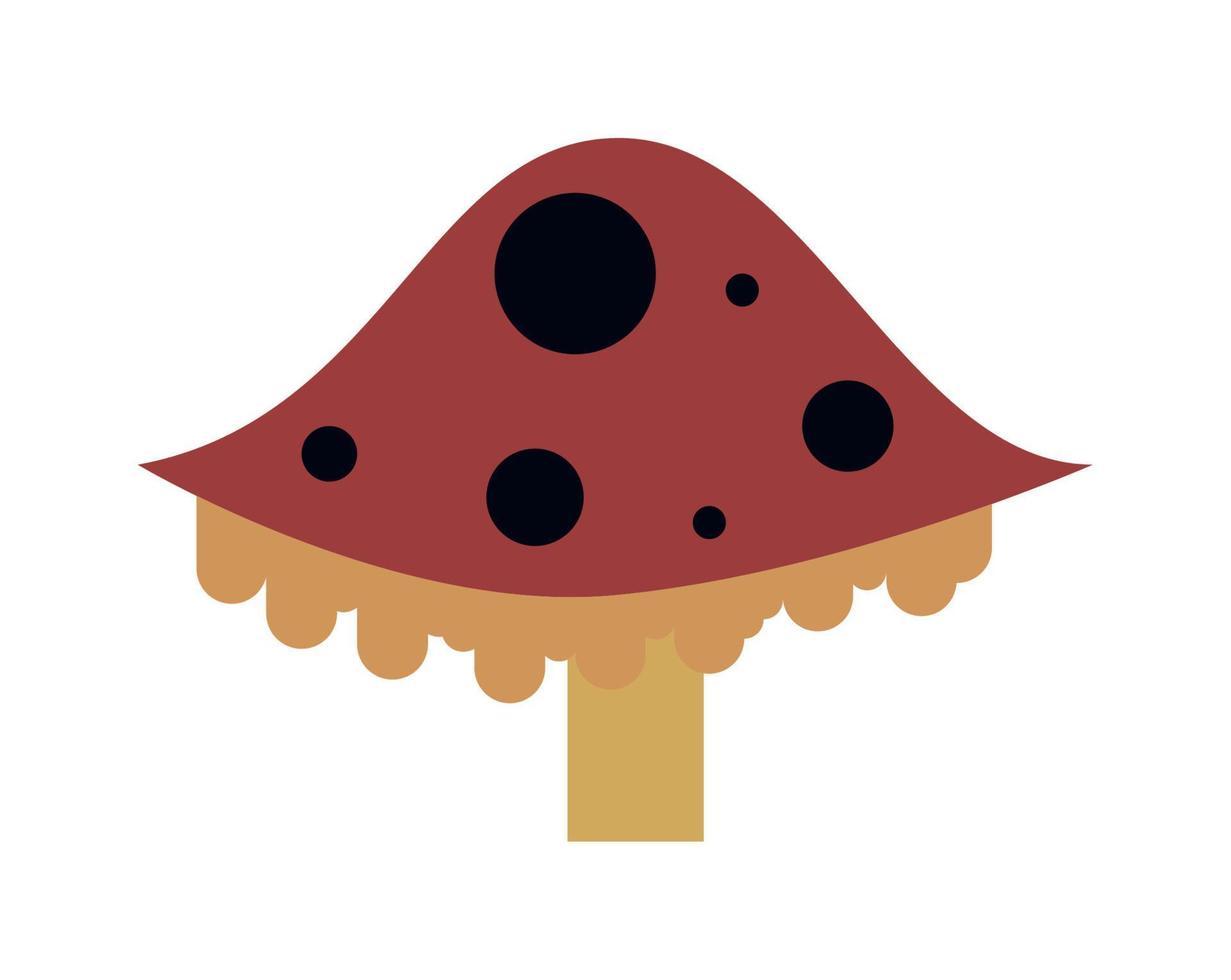 fungus plant garden vector