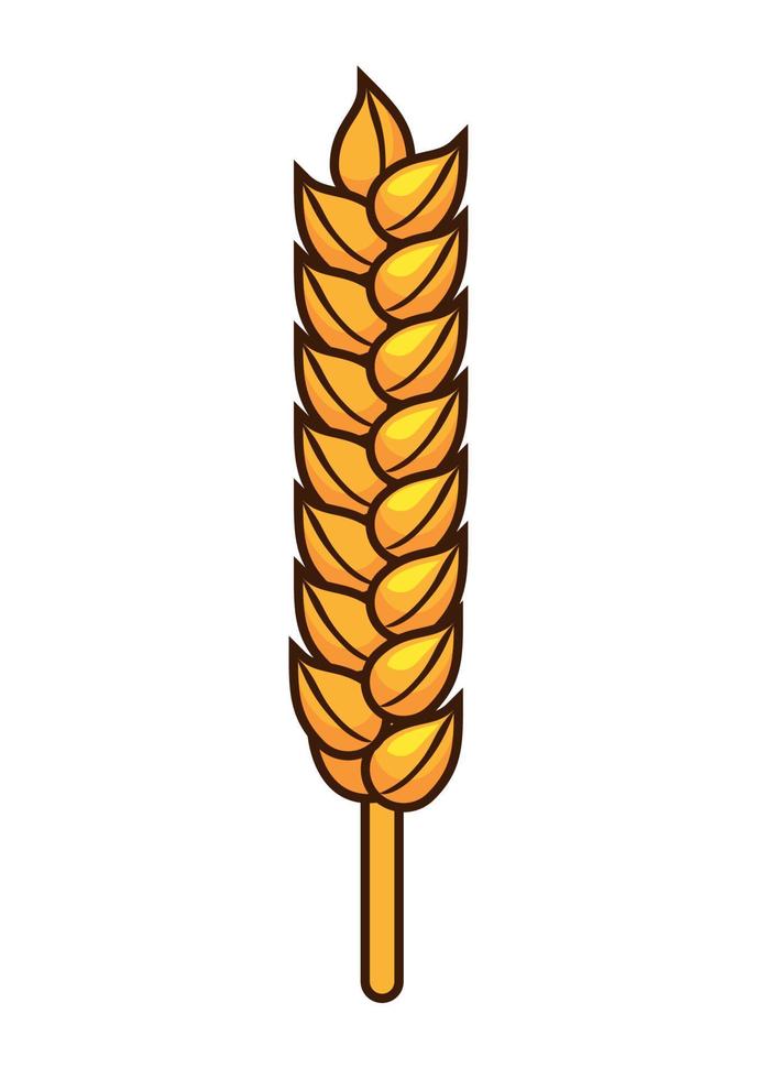 golden spike barley vector