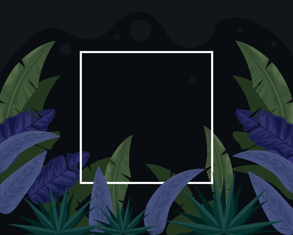 tropical leaves in square frame vector