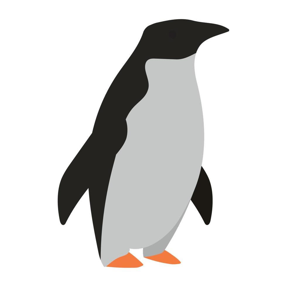 pingüino animal salvaje vector