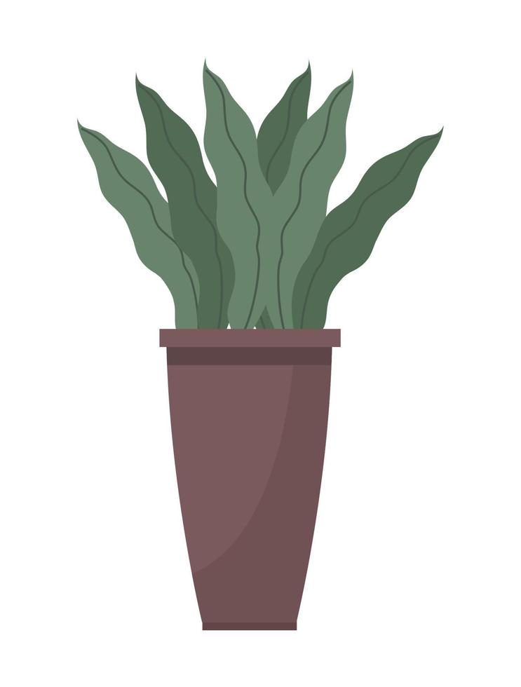 houseplant in pot vector