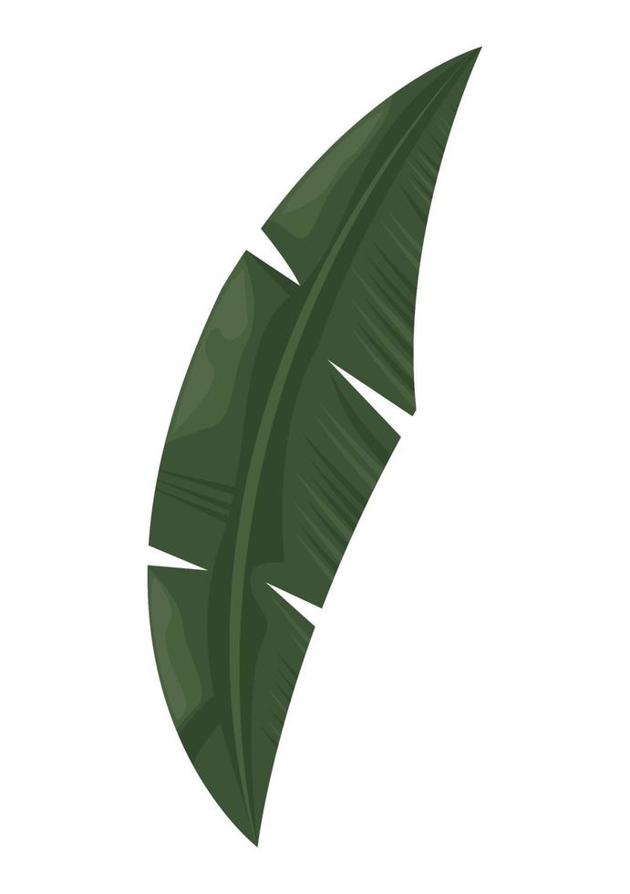 hoja de palma verde vector