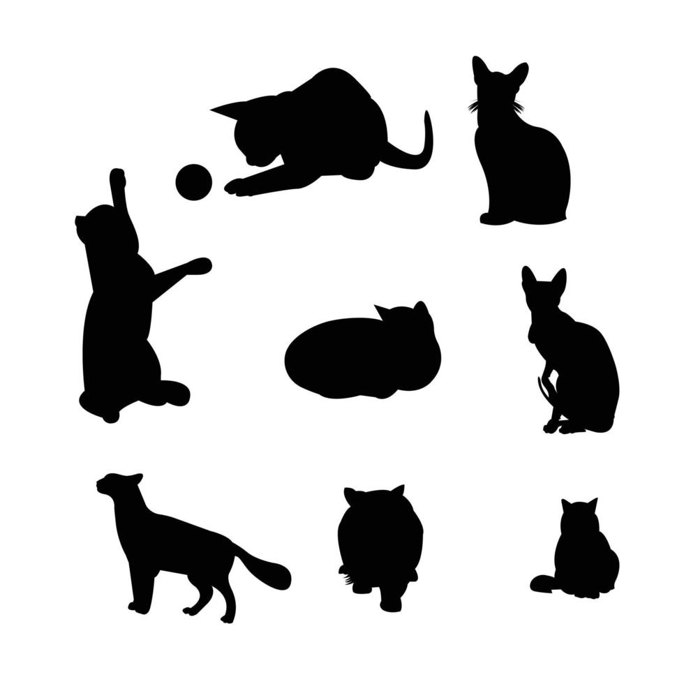 different breeds of cats on white vector