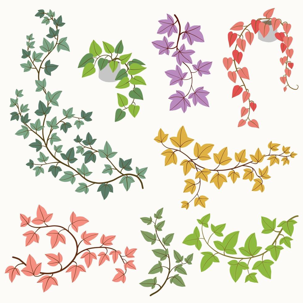 Simplicity ivy freehand drawing flat design collection. vector