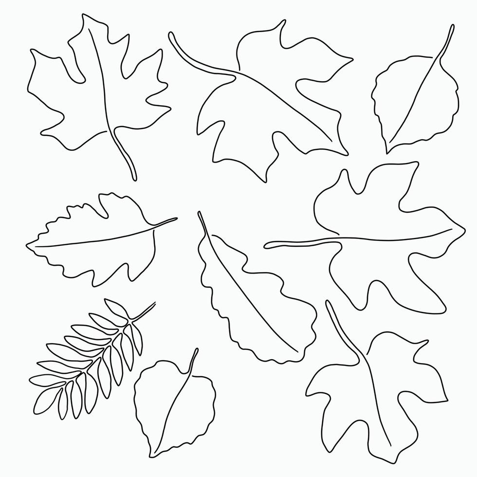 Simplicity maple freehand drawing flat design. vector