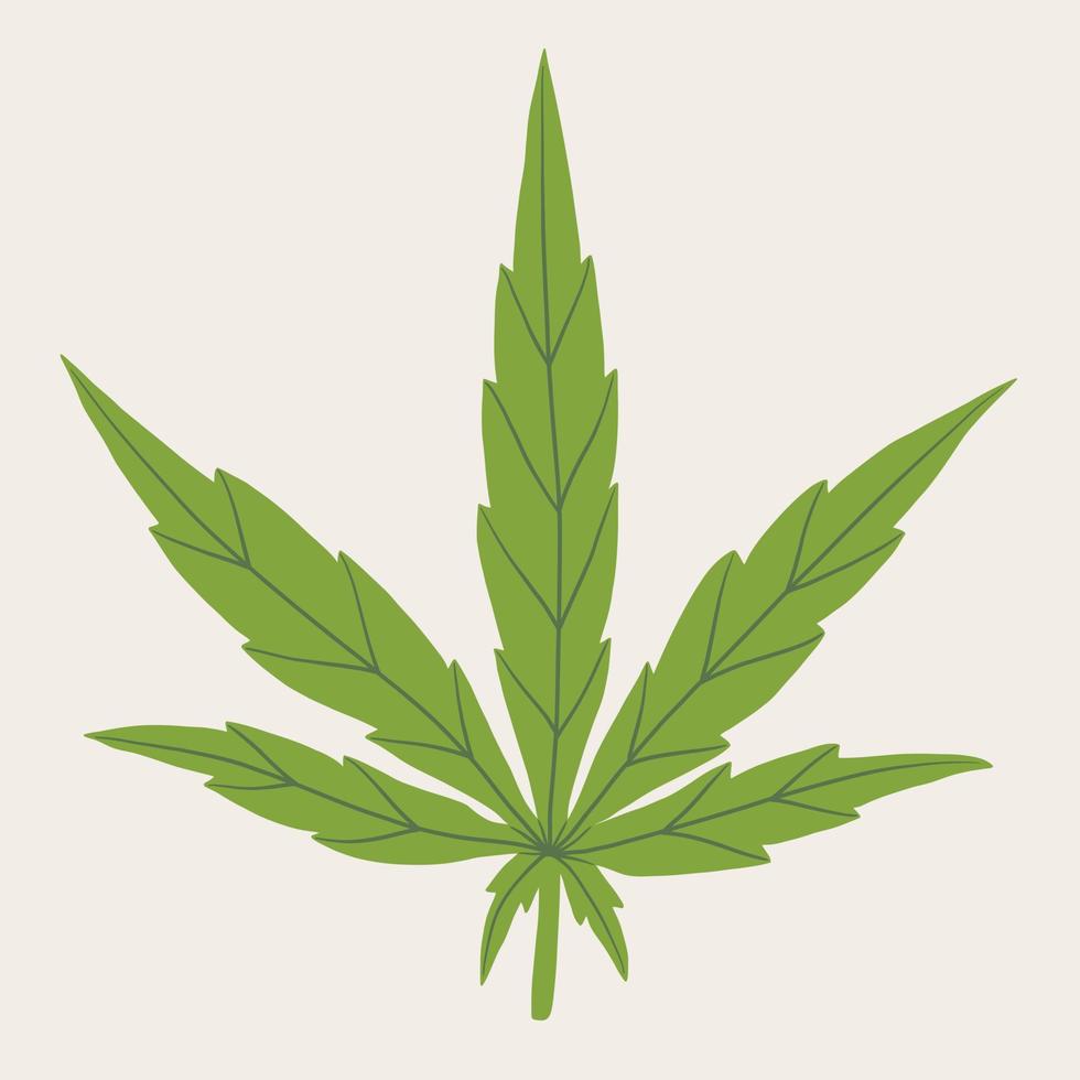 simplicity cannabis leaf freehand drawing. vector