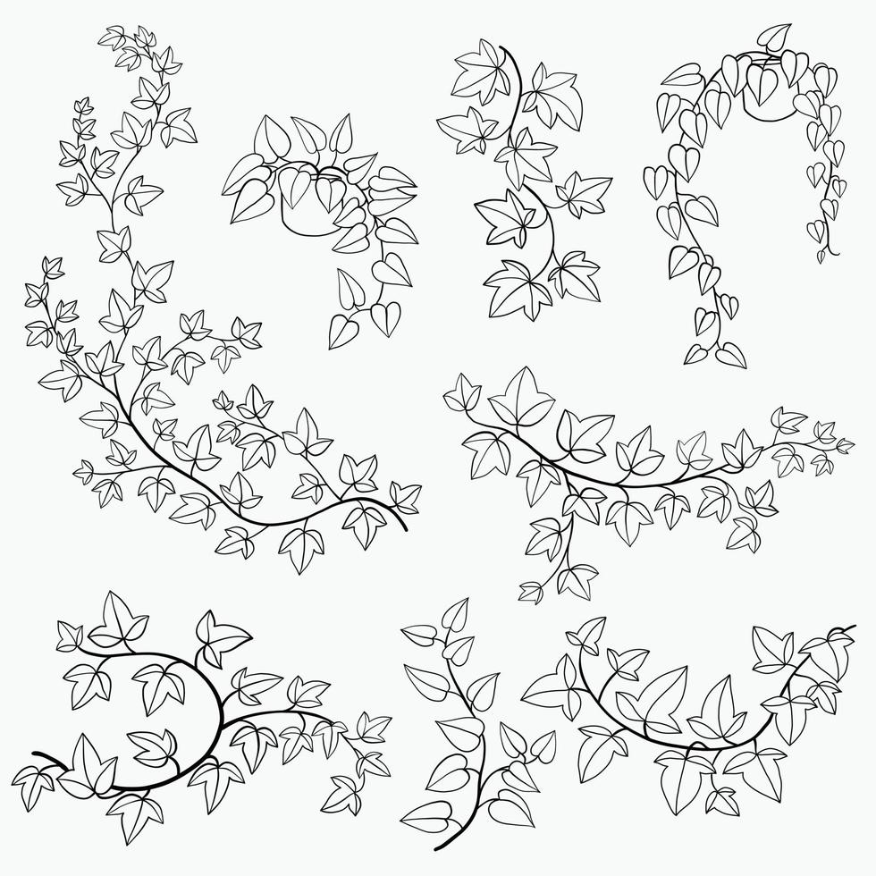 Simplicity ivy freehand drawing flat design collection. vector