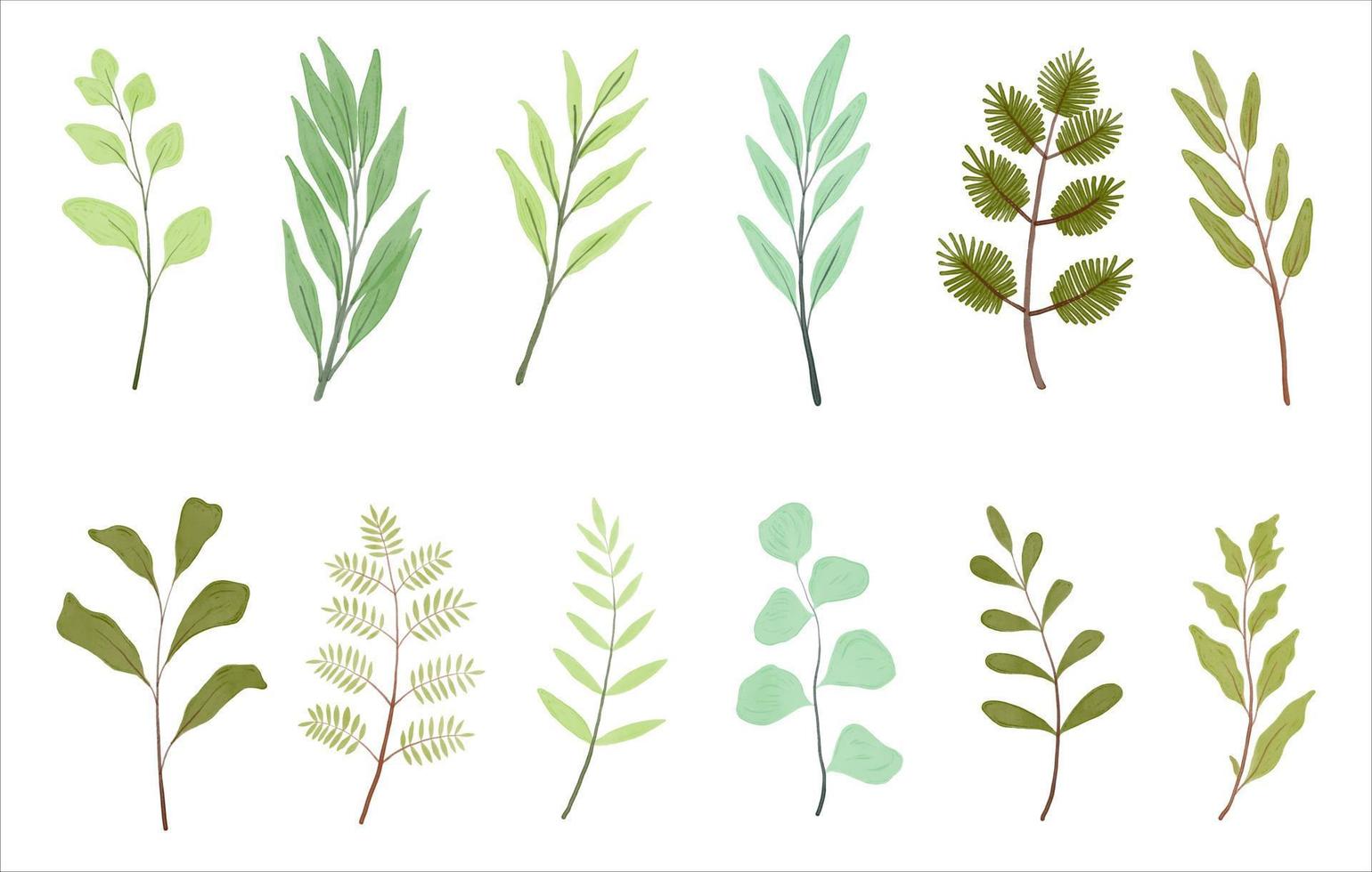 floral watercolor leaf decoration element. wildflower branch vector illustration. wreath border