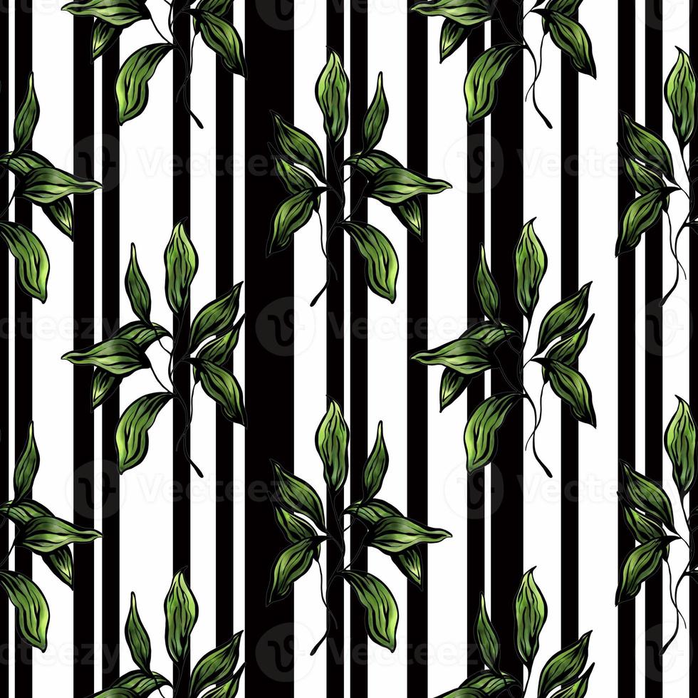 pattern with green leaves on a striped black and white background photo