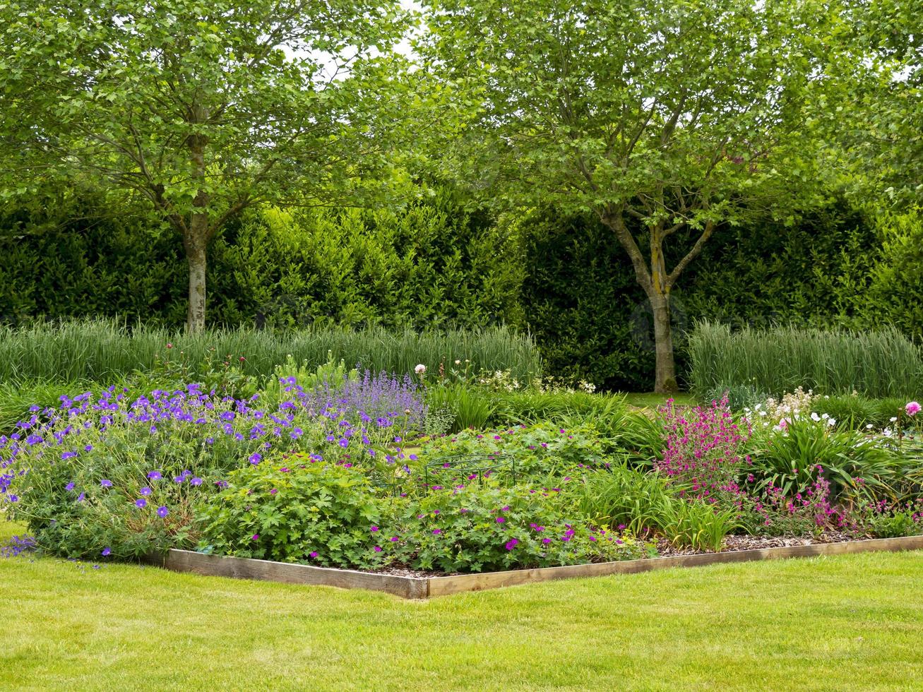 Flowerbeds and a green lawn in a summer garden photo