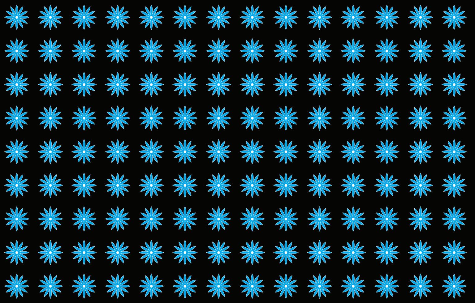 cute pattern background photo
