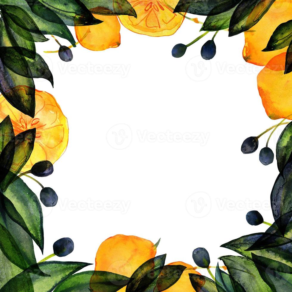 Olive and lemon square frame by hand drawn watercolor photo