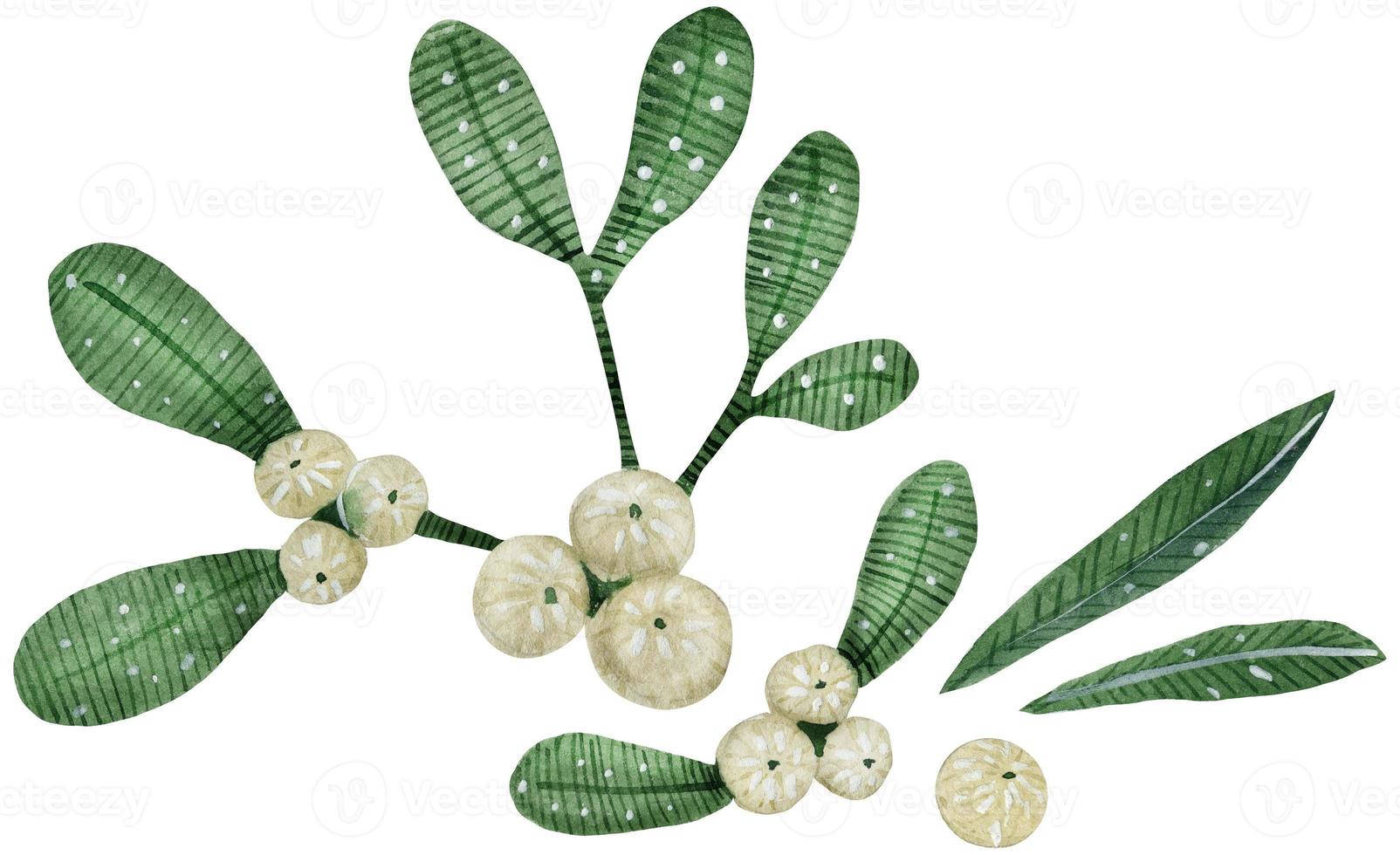 christmas mistletoe boquet by watercolor photo