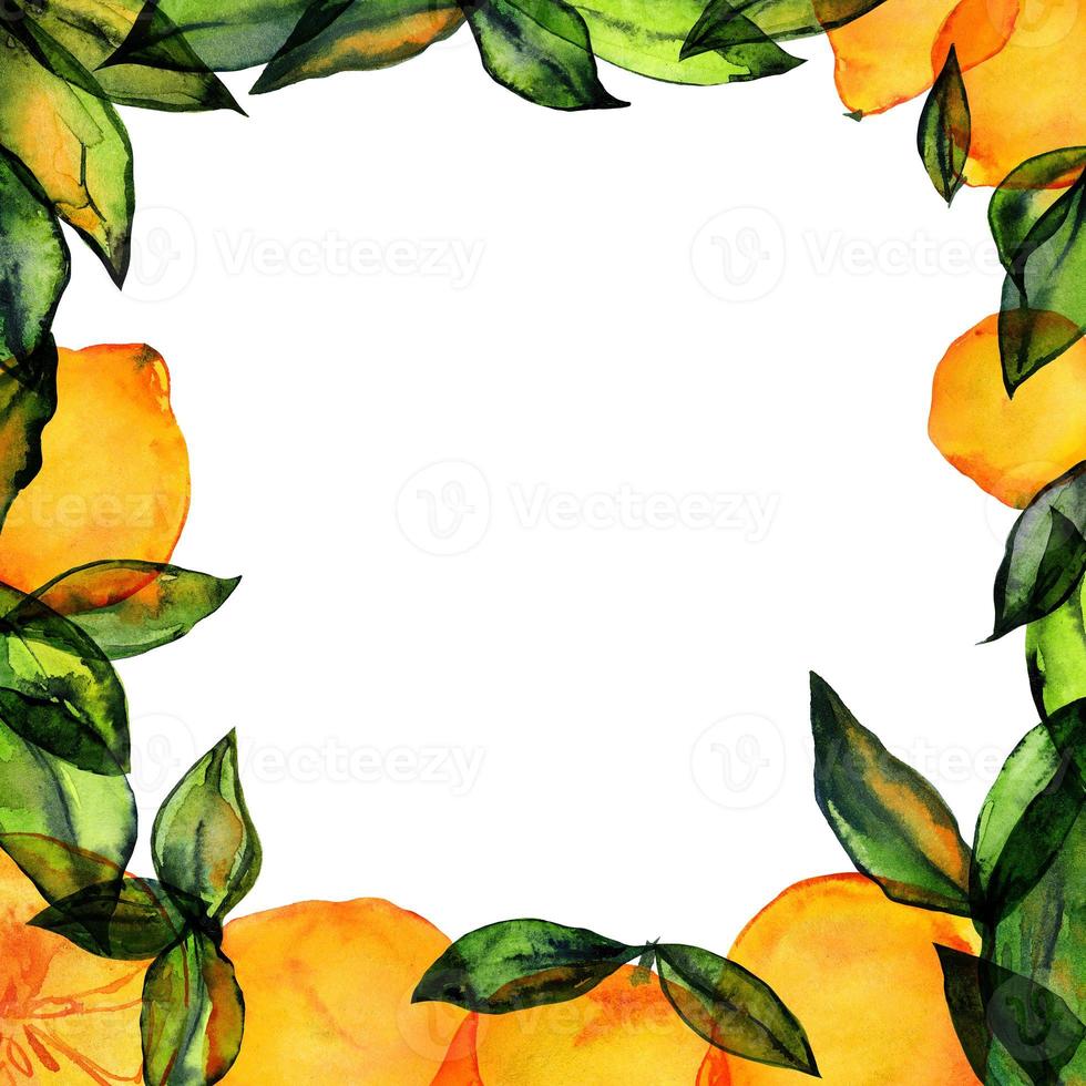Lemon square frame with hand drawn watercolor photo