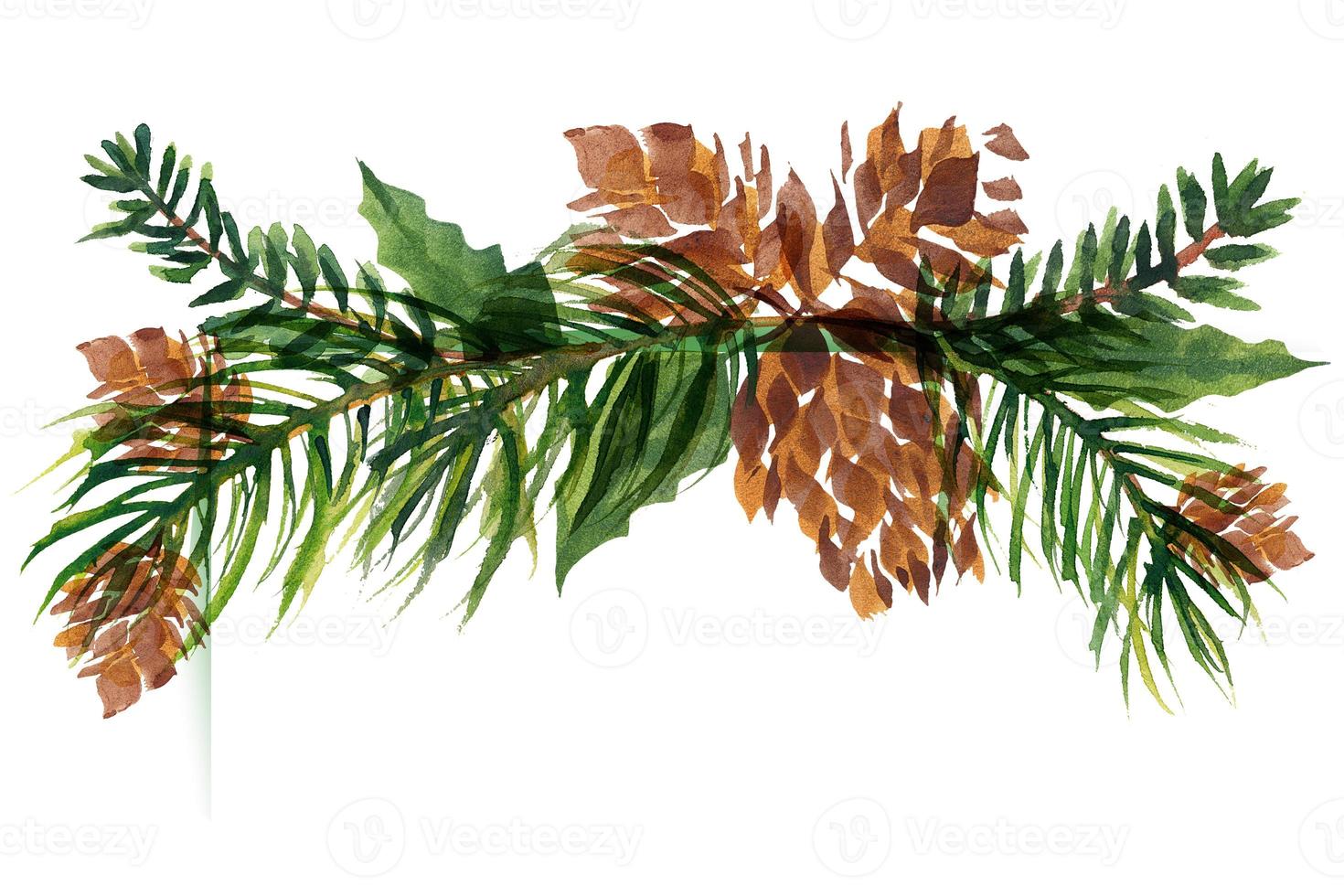 Christmas floral vignette with fir-tree cones and branches photo