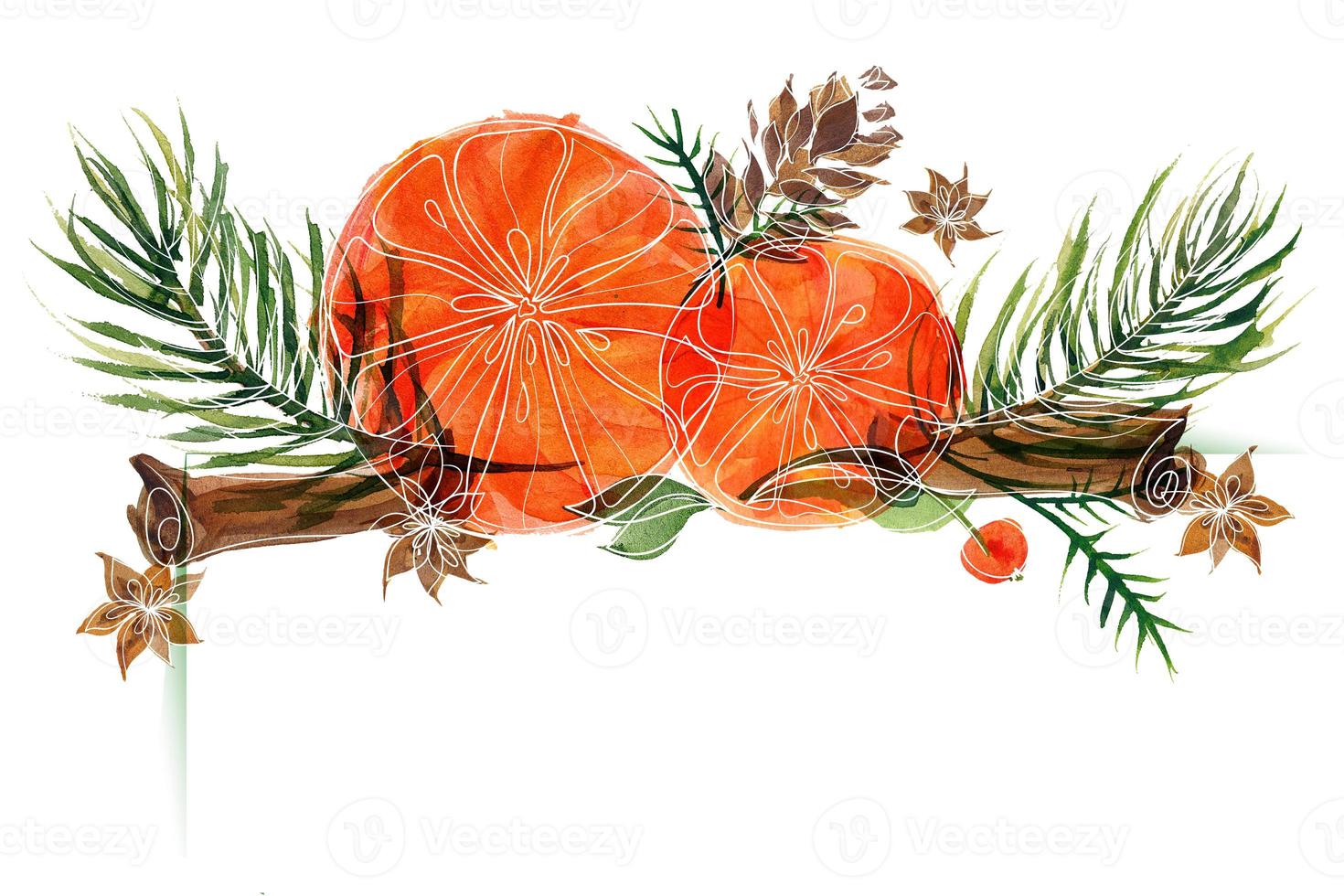 Christmas floral vignette with ale branches and oranges and spices photo