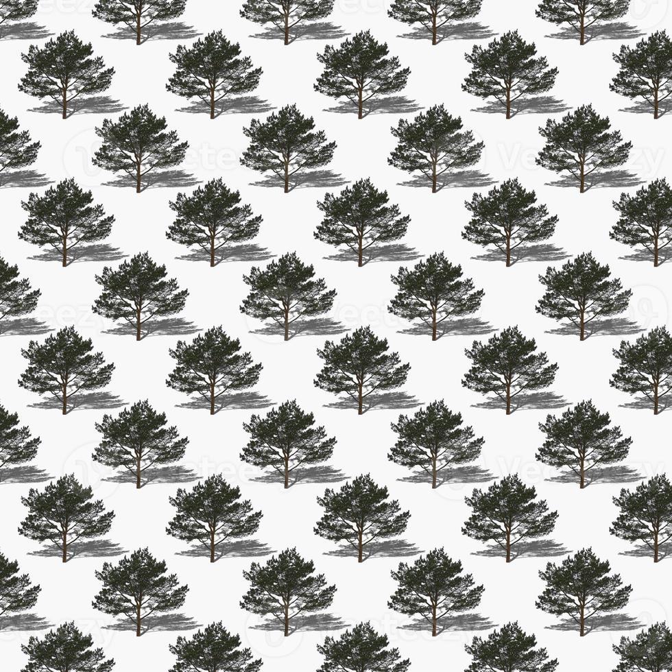 Isolated trees on a white background seamless pattern. photo