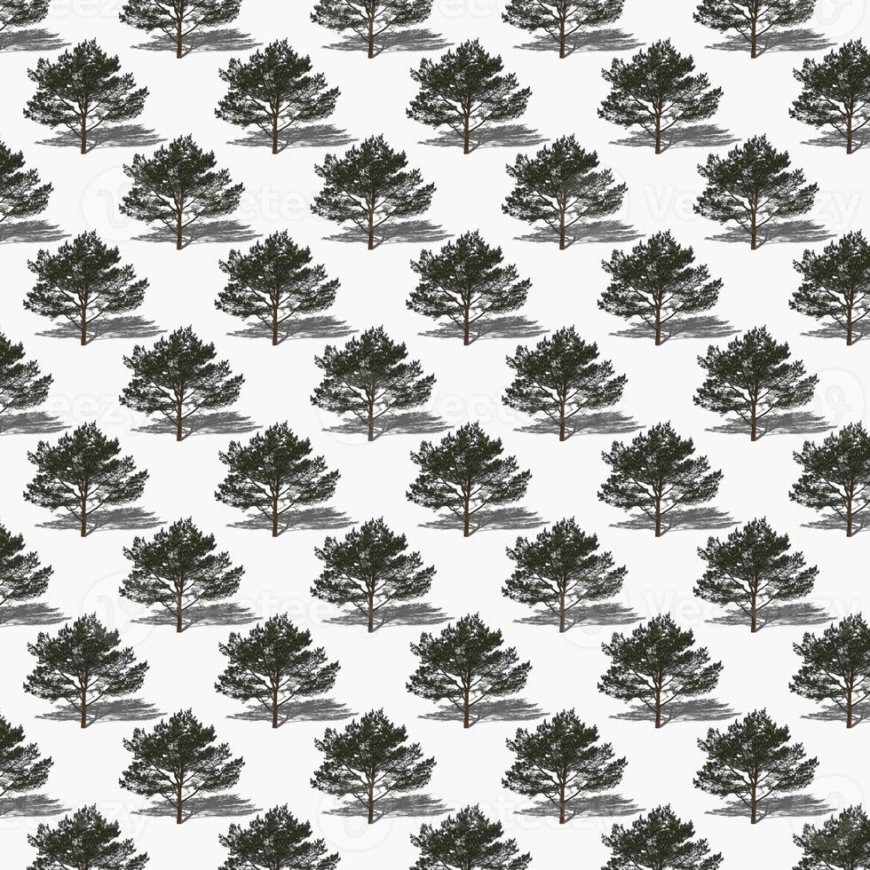 Isolated trees on a white background seamless pattern. photo