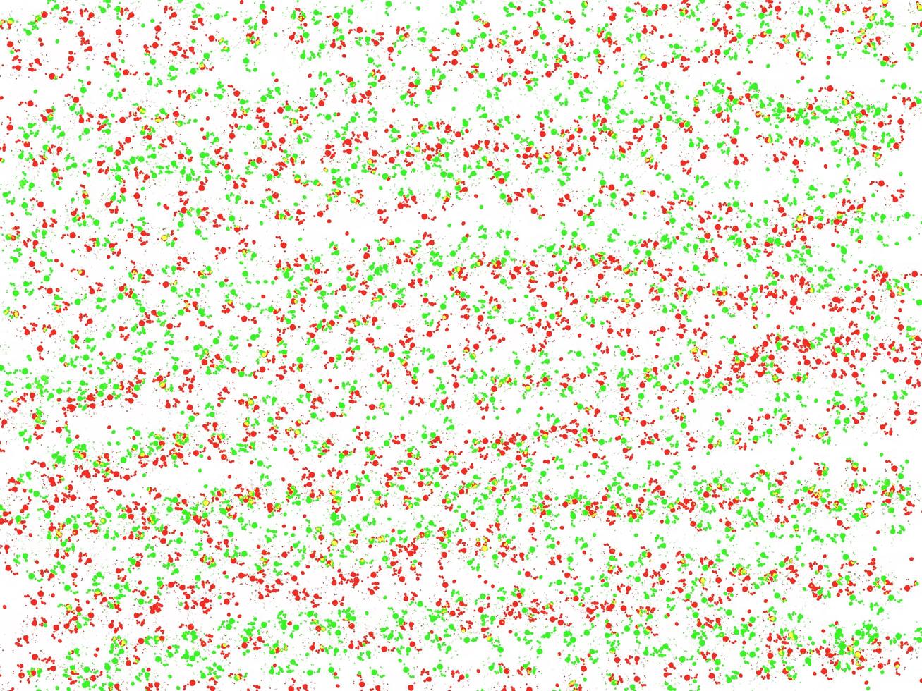 punto esparcido pintura de color rojo y verde difusa sobre fondo de papel blanco ilustraciones abstractas artes contemporáneas, papel artístico, espacio para marco copia escribir postal foto