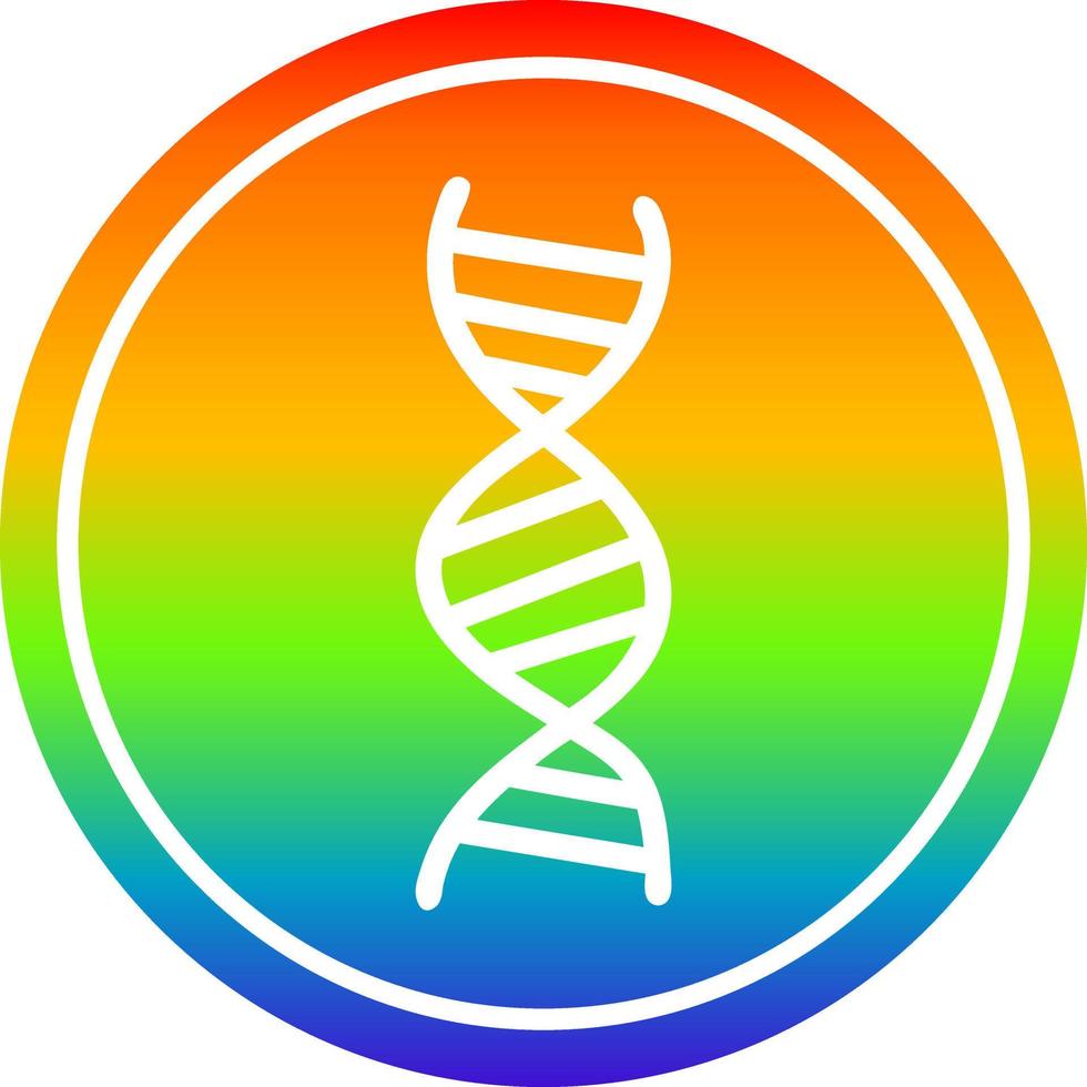 DNA chain circular in rainbow spectrum vector