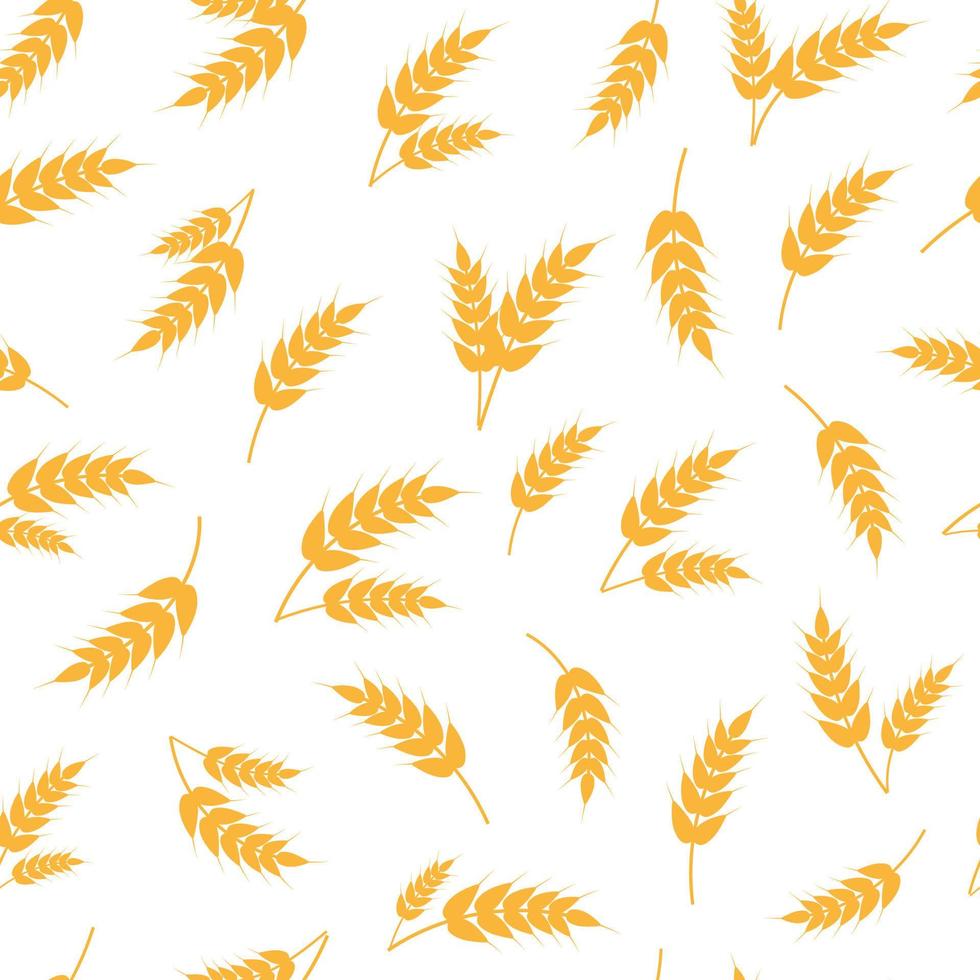 Wheat, rye, barley ears seamless pattern vector