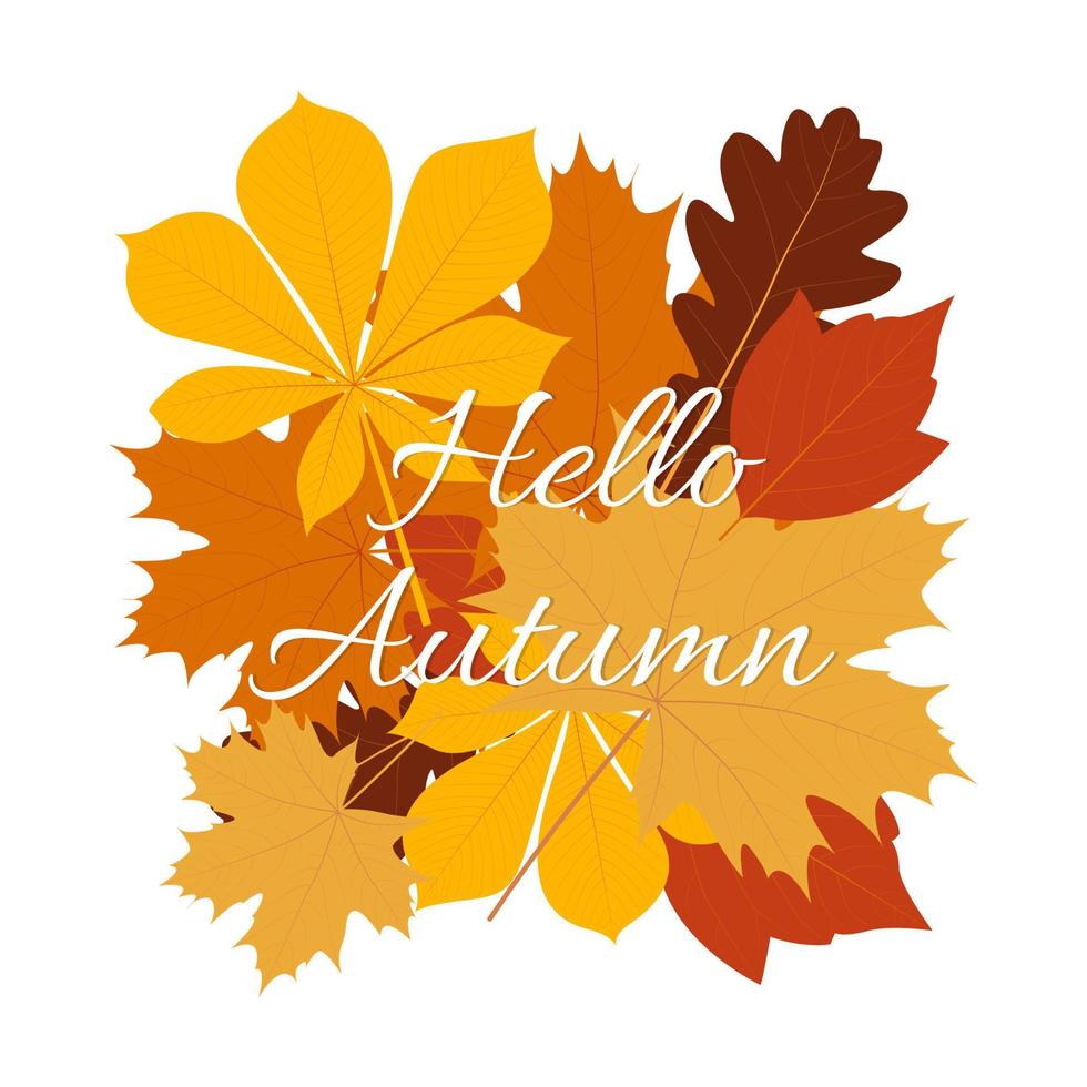 Hello Autumn background with leaves vector