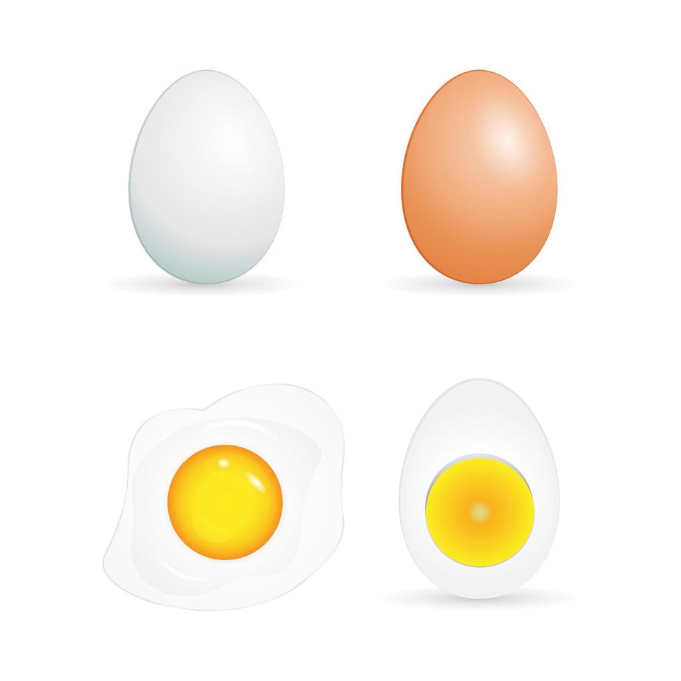 Chicken eggs set illustration. Boiled and fried egg. vector